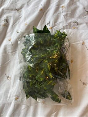 Artificial Pothos Vine Light Garland - Green